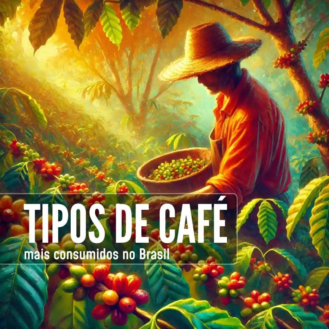 Agricultor colhendo grãos de café maduros em plantação, destacando os tipos de café mais consumidos no Brasil.