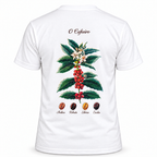 Camiseta branca vista de costas sobre fundo branco, com a estampa botânica "O Cafeeiro" do pé de café com flores e frutos vermelhos e os grãos Arábica, Robusta, Libérica e Excelsa.