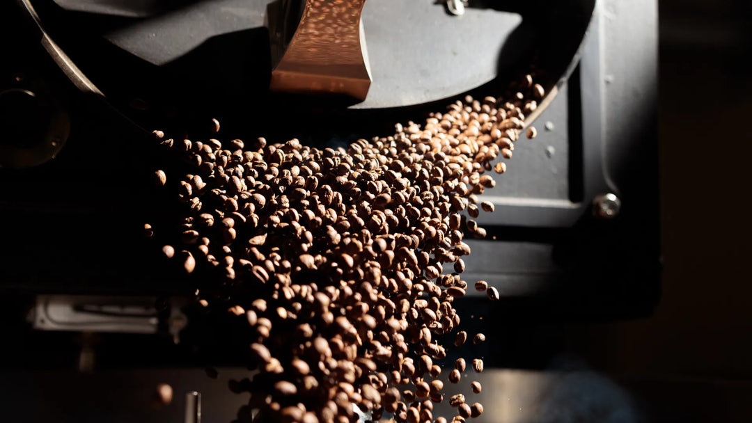 Grãos de café torrados sendo despejados de uma máquina de torrefação, capturados em movimento.