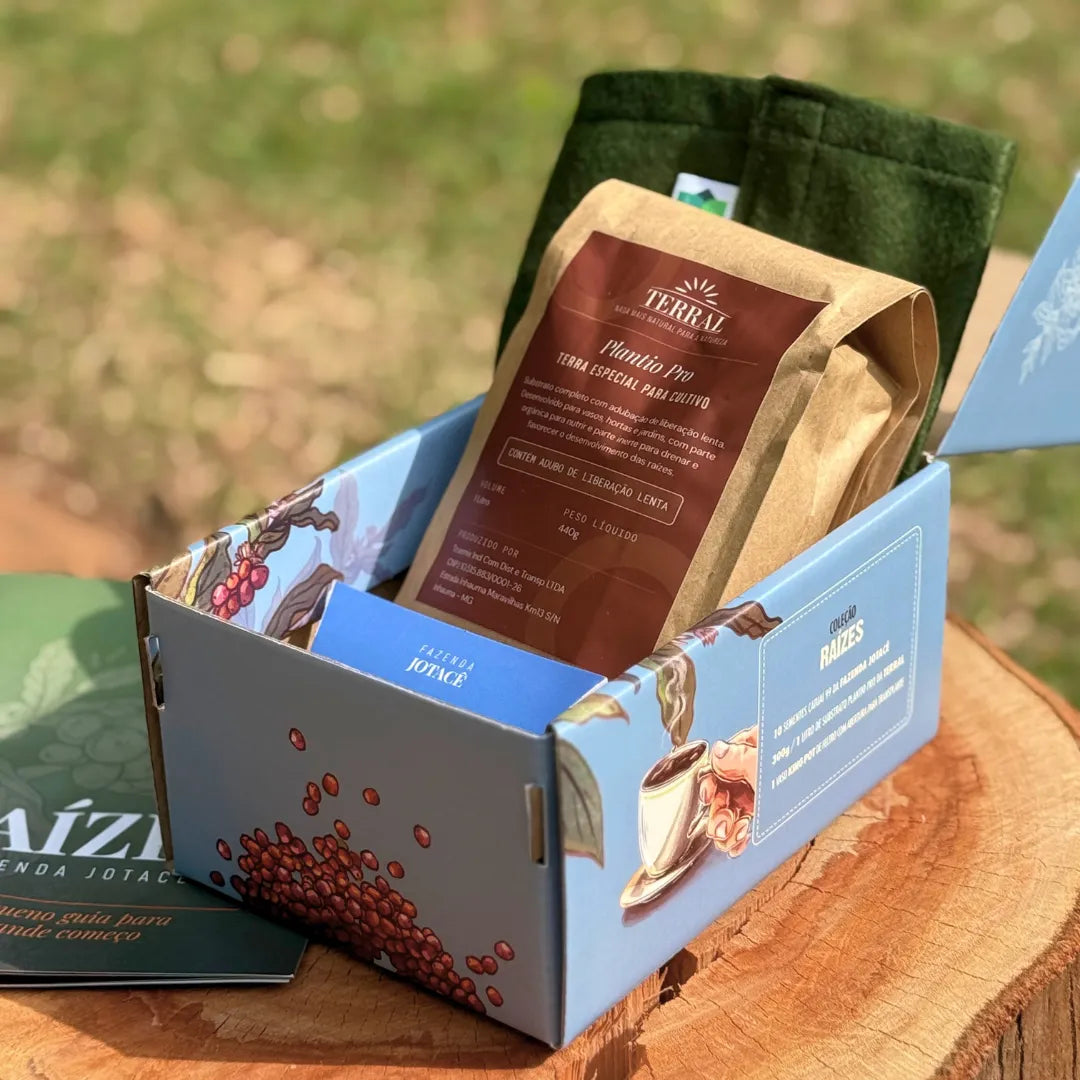 Caixa da Coleção Raízes aberta sobre tronco de madeira, revelando terra TERRAL Plantio Pro, vaso King Pot de feltro verde e revista guia Raízes.