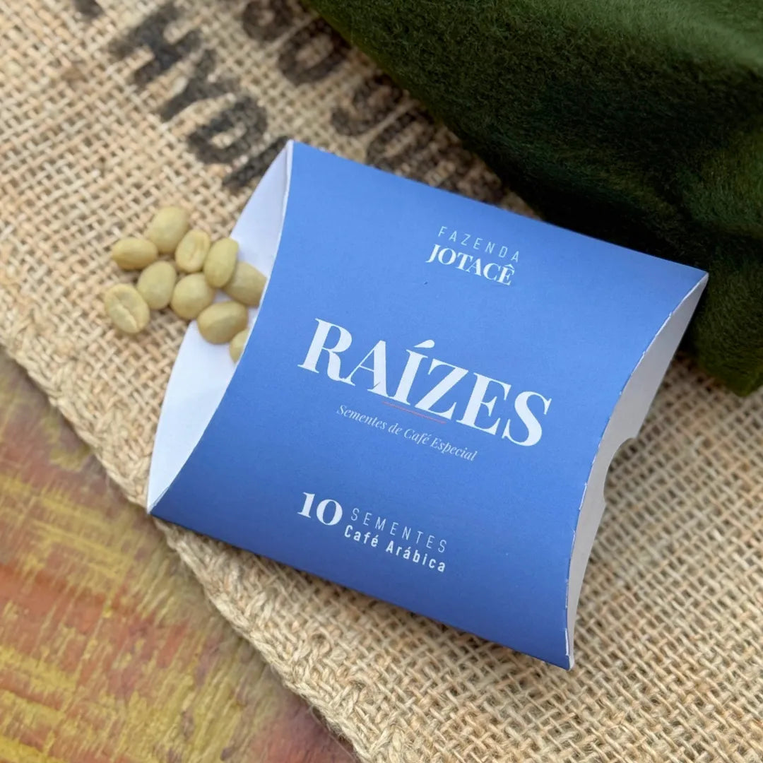 Pillow box azul da Coleção Raízes aberta com 10 sementes de café arábica selecionadas à mão na Fazenda Jotacê.