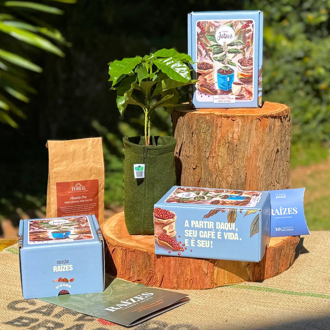 Kit Coleção Raízes da Fazenda Jotacê sobre tronco de madeira ao ar livre: caixa azul, pillow box com sementes de café arábica, terra TERRAL, vaso King Pot com muda de café e revista guia.