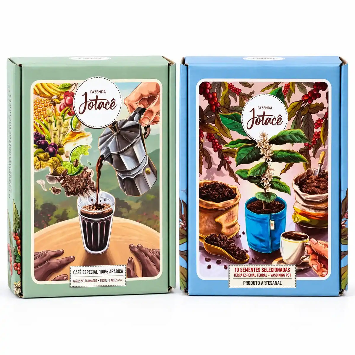 Kit Origens e Raízes Fazenda Jotacê: caixa de café especial 100% arábica e caixa para plantar pé de café com 10 sementes, terra especial e vaso
