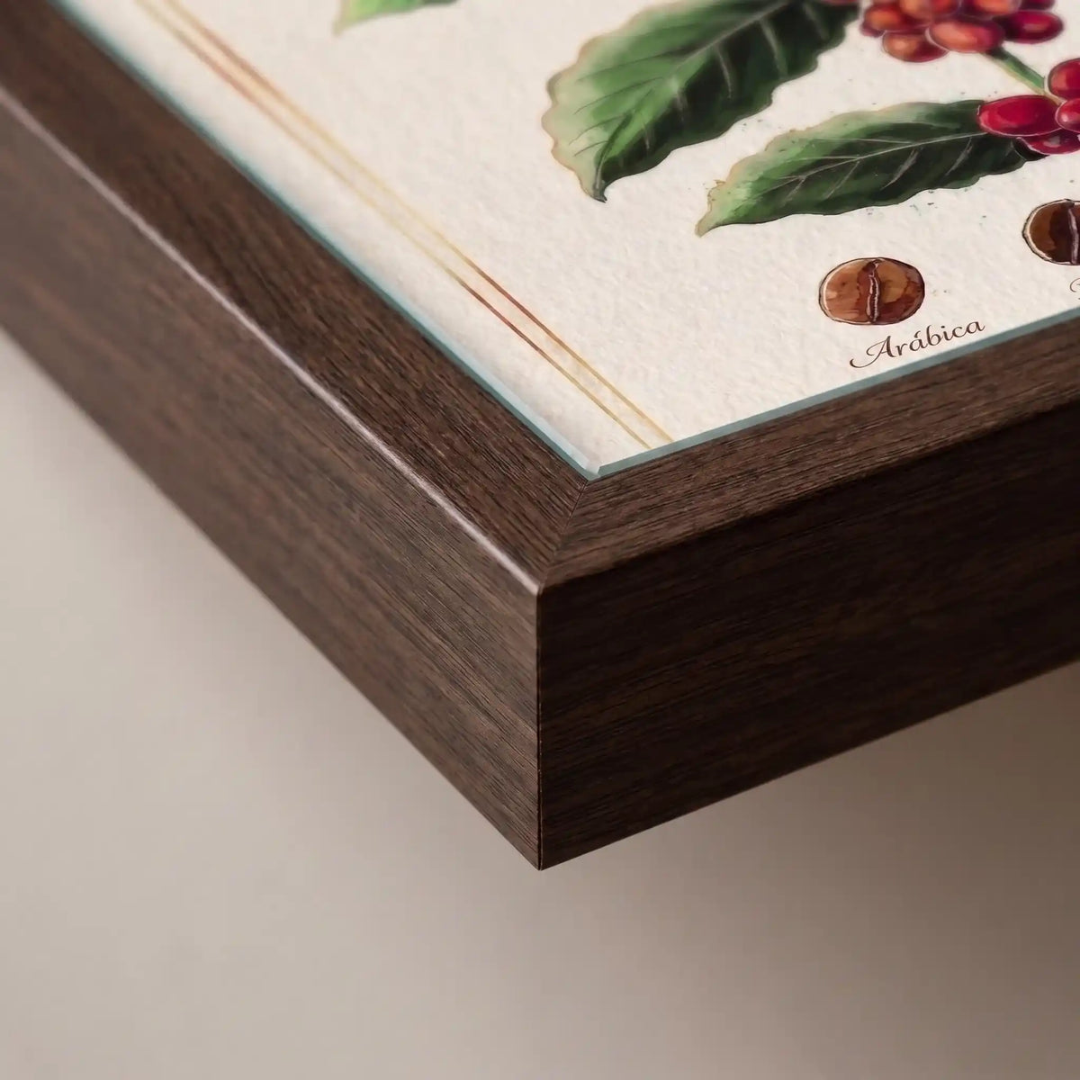 Detalhe do canto da moldura de madeira escura do quadro, mostrando a textura do papel, o filete dourado e a ilustração dos frutos vermelhos e do grão "Arábica".