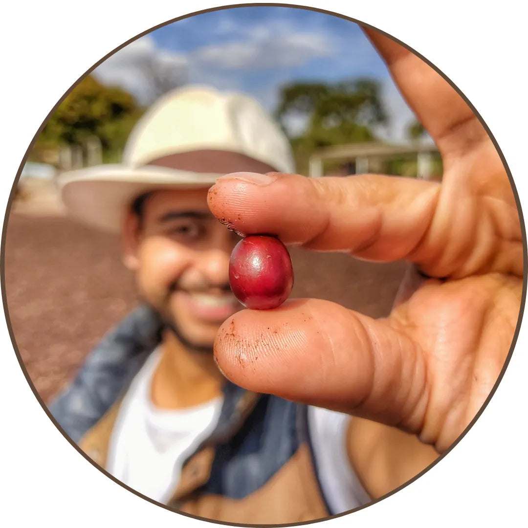 Pessoa sorridente segurando uma cereja de café em primeiro plano, com foco no fruto