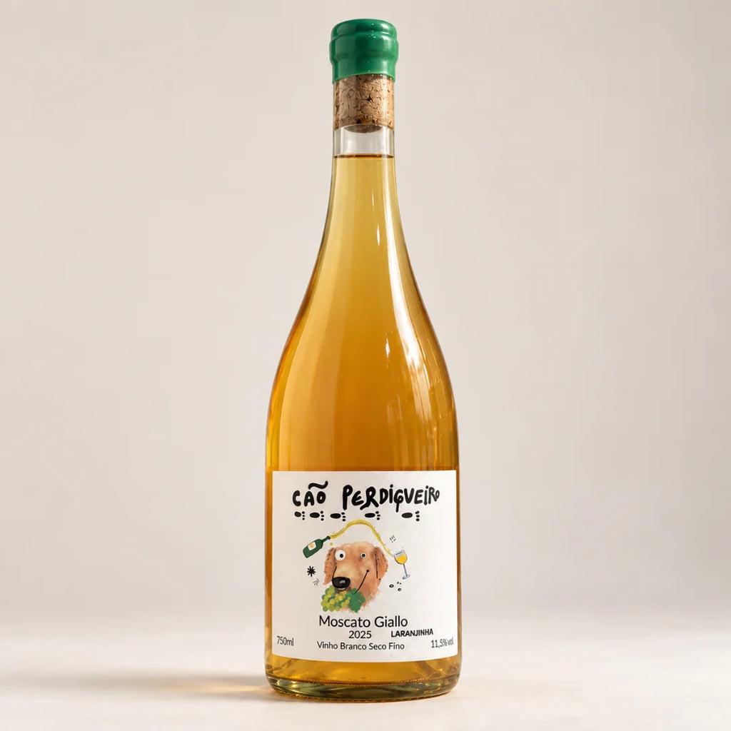 Garrafa do vinho laranja Cão Perdigueiro Moscato Giallo Laranjinha 2025, 750ml, sobre fundo neutro