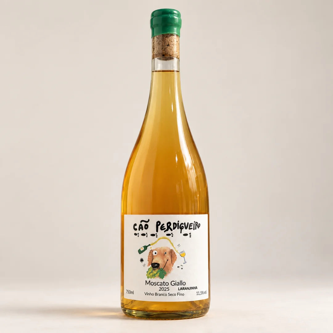 Garrafa do vinho laranja Cão Perdigueiro Moscato Giallo Laranjinha 2025, 750ml, sobre fundo neutro