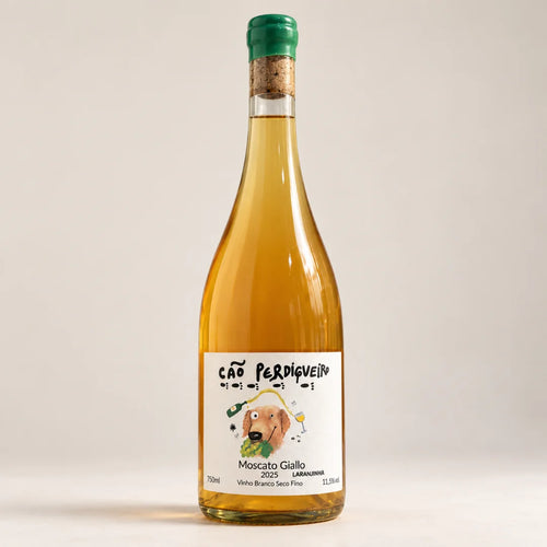 Vinho Laranja Cão Perdigueiro Moscato Giallo Laranjinha 750ml