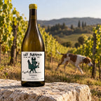 Trebbiano vinho Cão Perdigueiro sobre muro de pedra no vinhedo, com um cão perdigueiro ao fundo