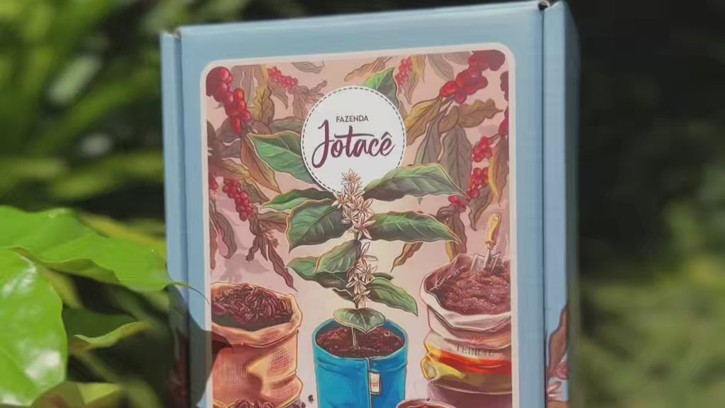 Coleção Raízes